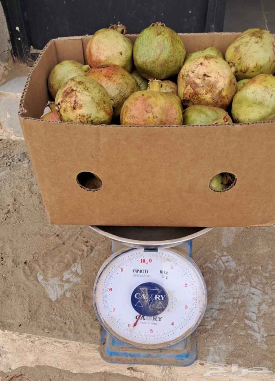 رمان طائفي للبيع مفرد او جملة عدد 40 كرتون64388134768258110