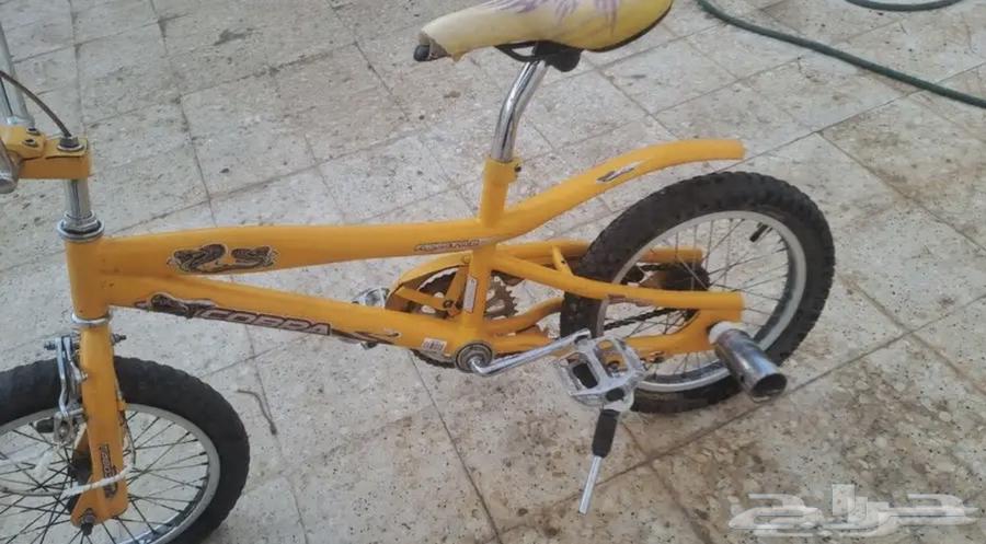 سيكل كوبرا نظيف64384883547649111