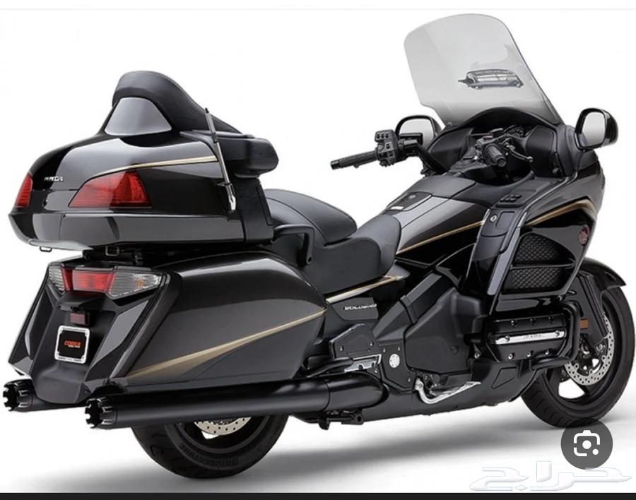 قزوز كوبرا مشرشر بلاك64392086893441110