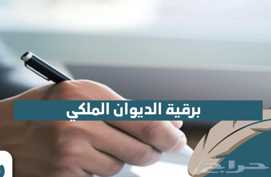 كتابة خطابات مؤثرة ومعروض وشكوى64523991639169110