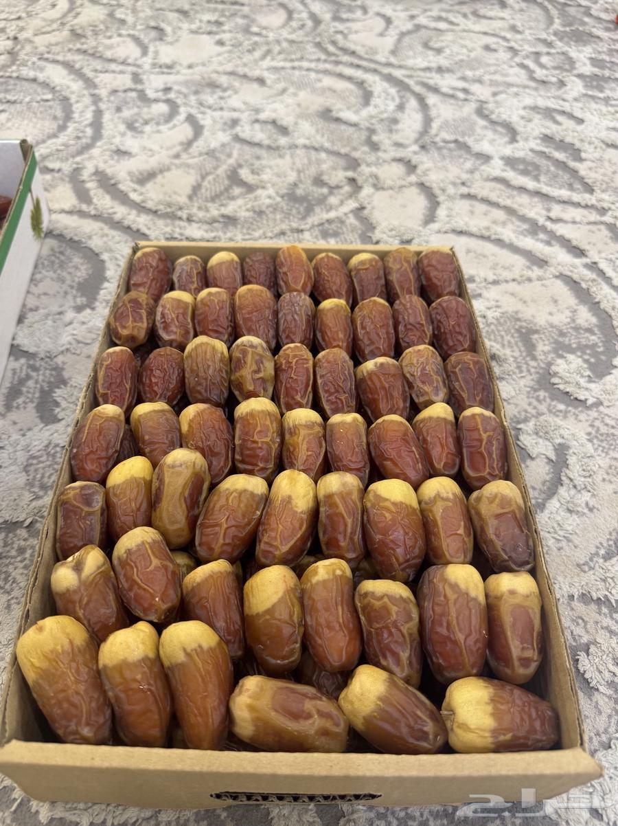 صقعي مبروم فاخر64391357553666111