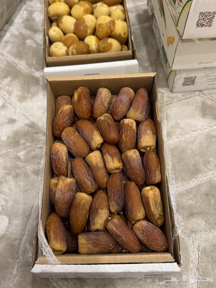 Dates64382679643779110