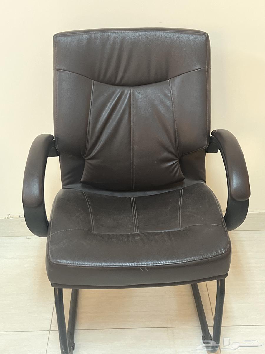 حب الخزامى الخرج64385621025411110