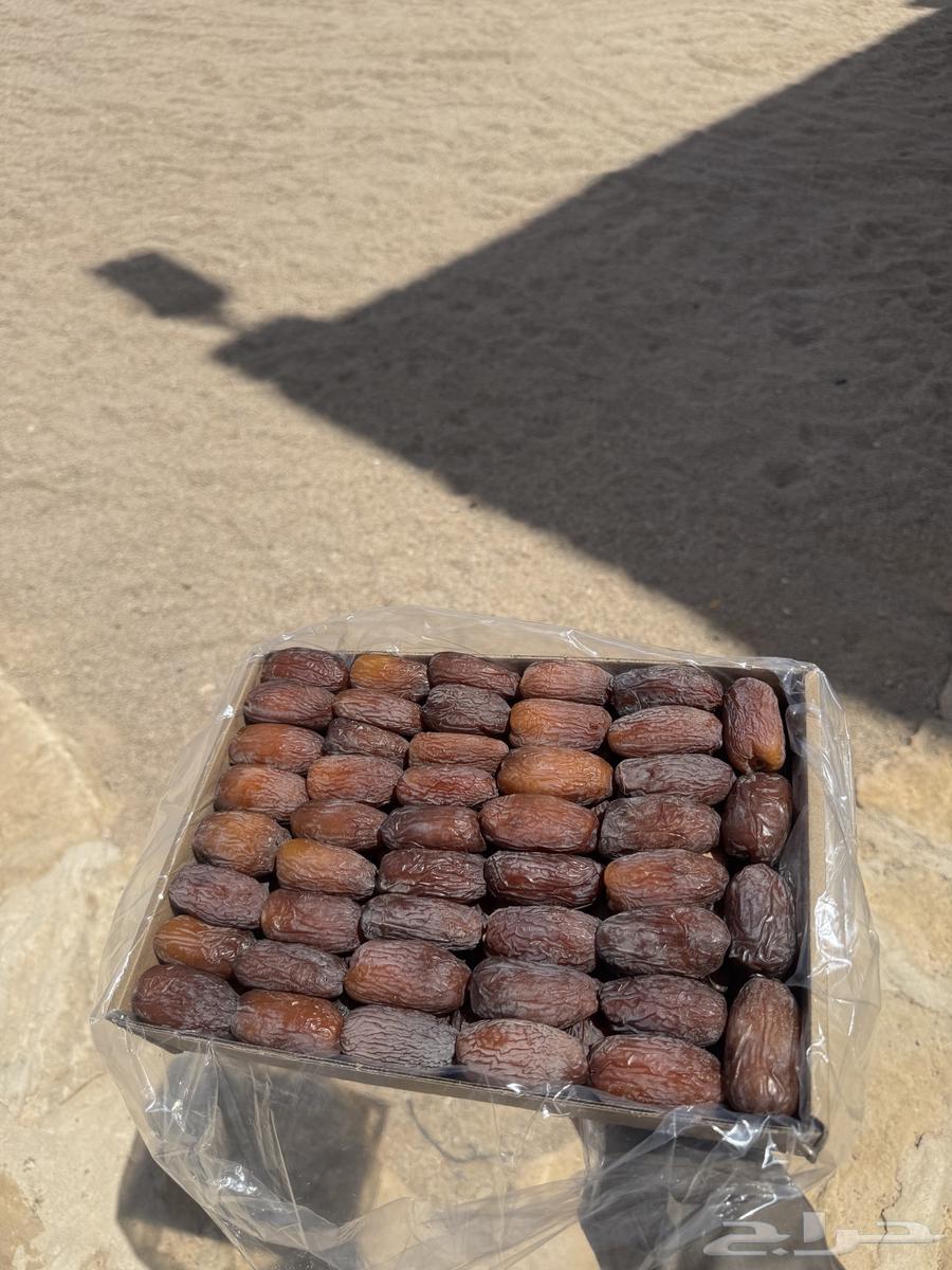 للبيع تمر مجدول فاخر كرتون 3كيلو64381823138818110