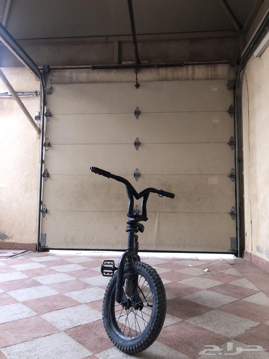 سيكل كوبرا اصلي64387424923009114