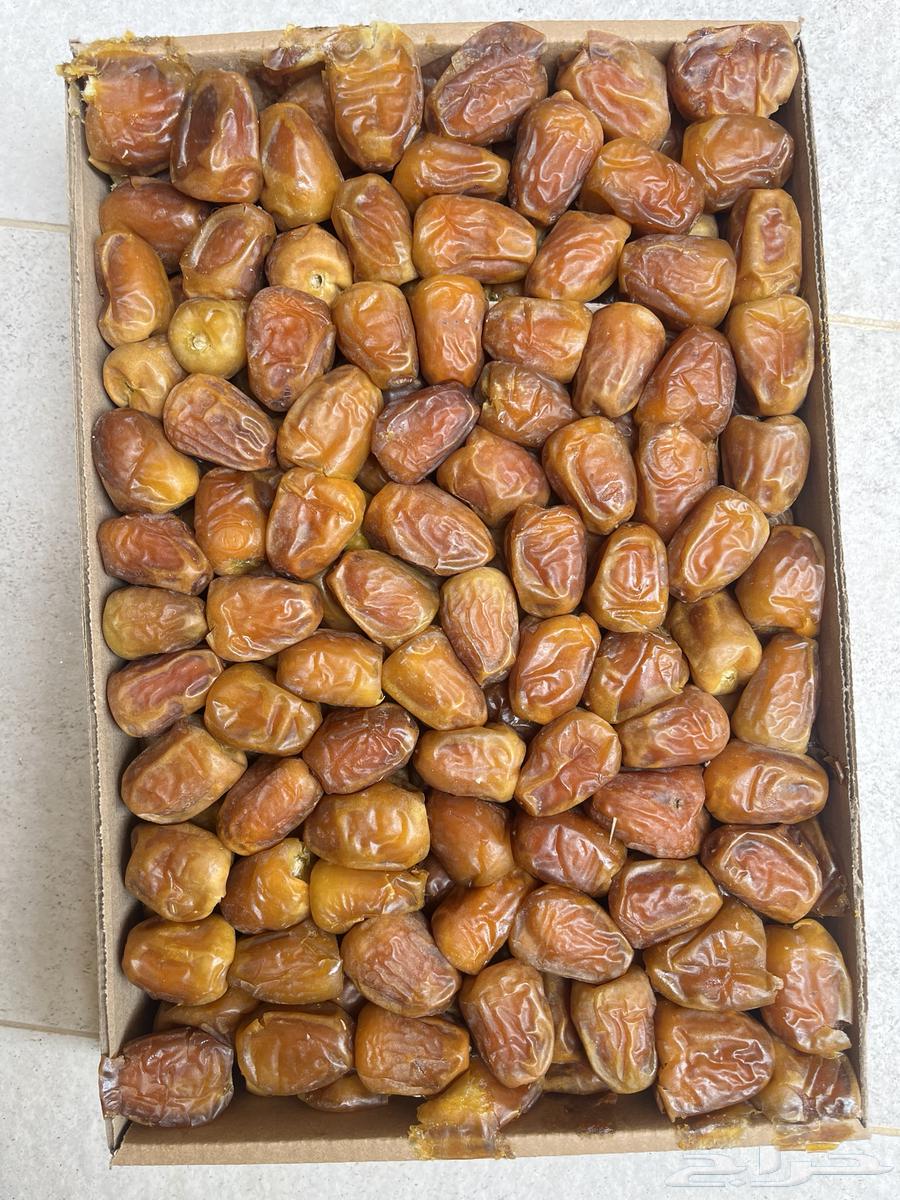 First Grade Sticky Twisted Dates and Galaxy64382418637059111