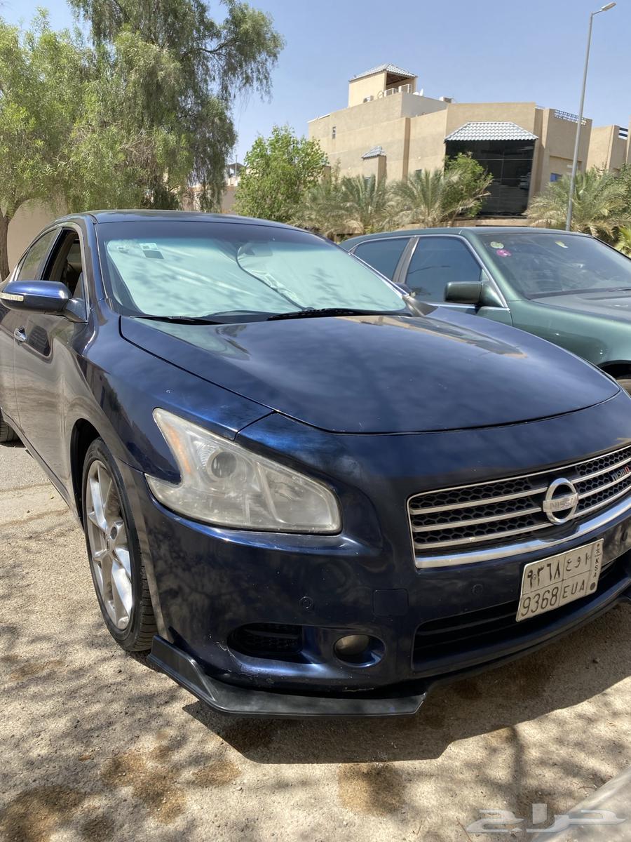 نيسان مكسيما 2010 ممشى بسيط64472325350659111
