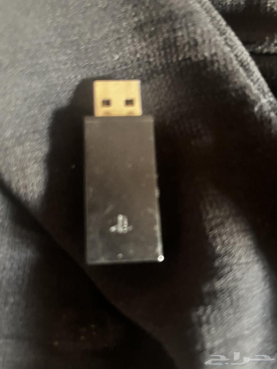 دونجل64384534942849112