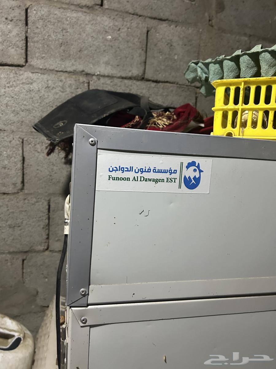 Incubator 36064390291839361111