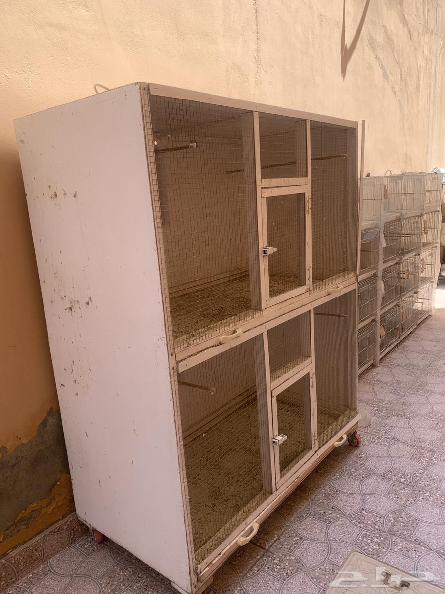 Bird Net64382321304833114