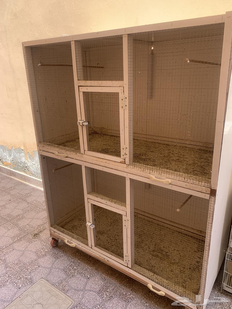 Bird Net64382321304833113