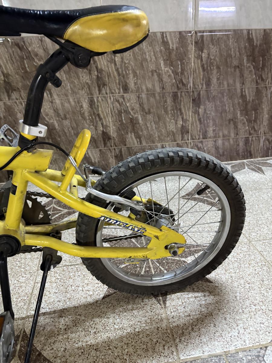 دراجه كوبرا اصفر64379239175425114