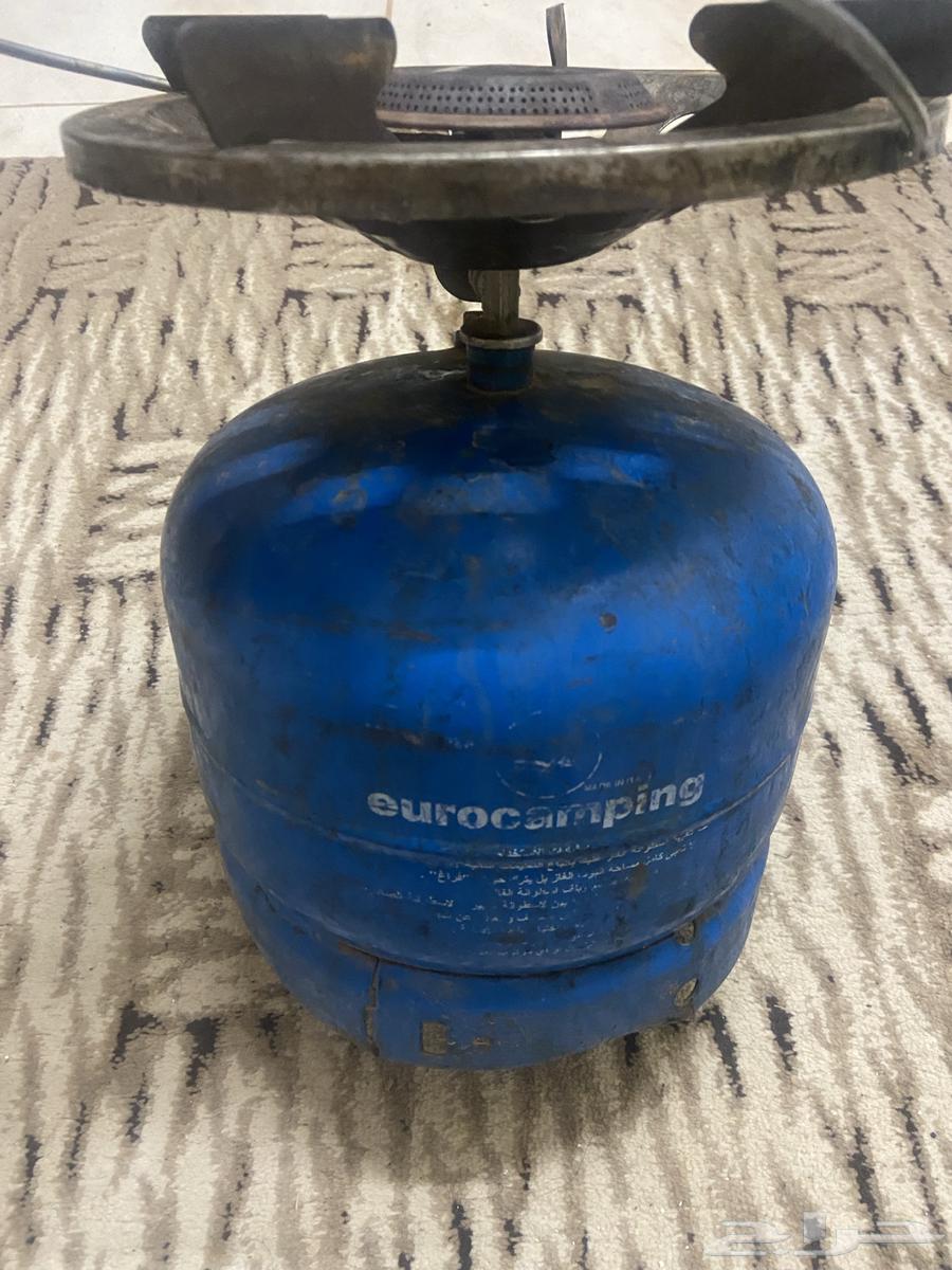 للبيع دافور اصلي64380957937027110