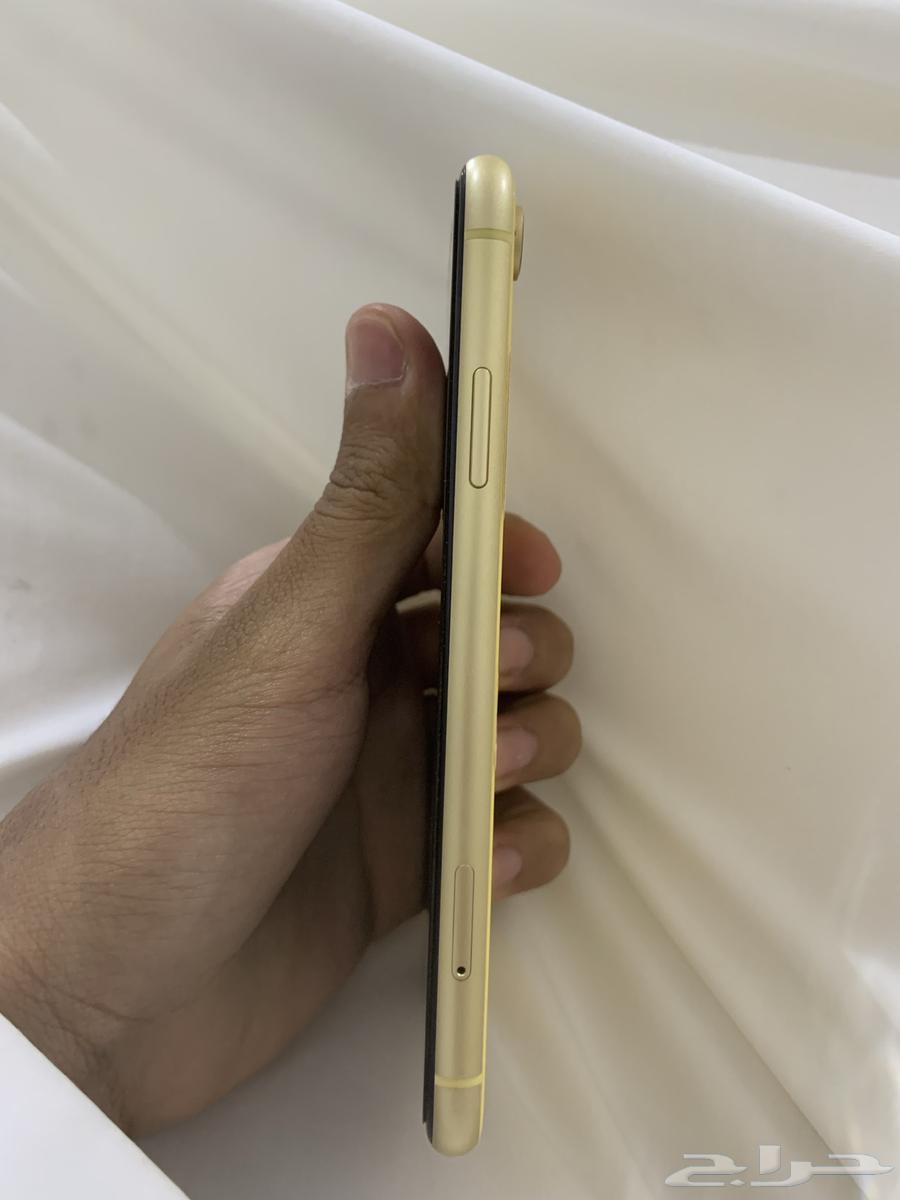 iPhone XR64377944418689113