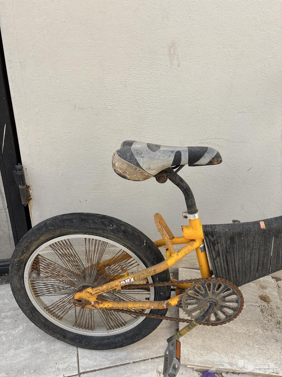 سيكل كوبرا للبيع64386668779907114