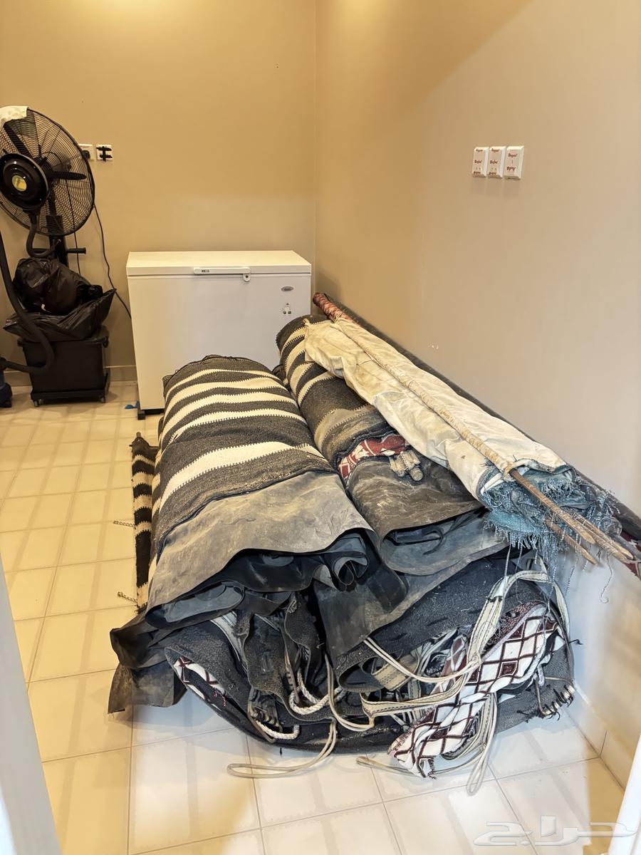 بيت شعر عمودين 9x664384619292545110