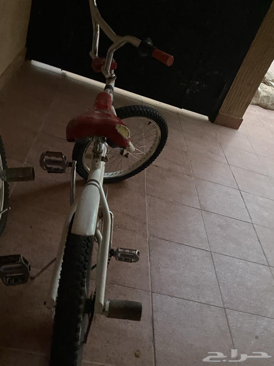 سيكلين وسكوتر للبيع64387912489217114