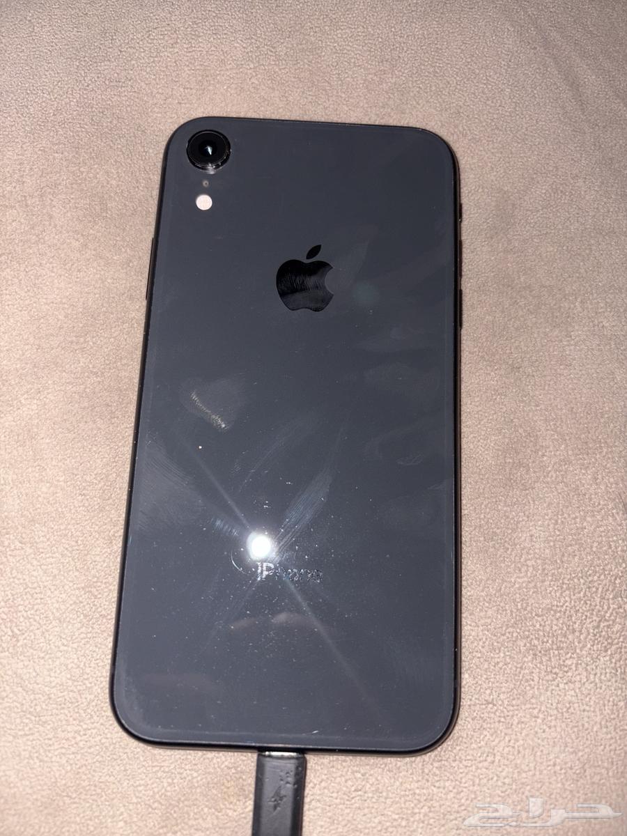 iPhone XR64380154564995111