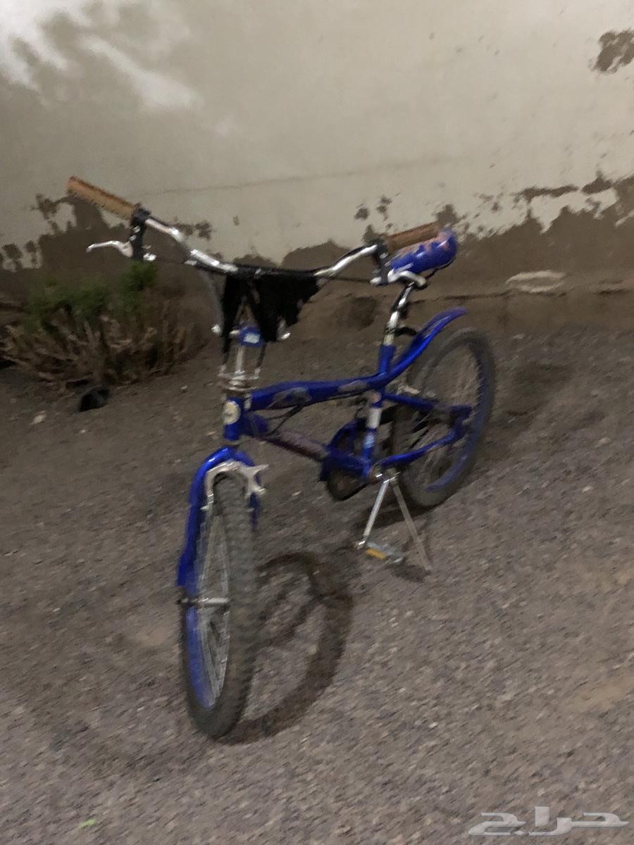 Cobra size 21, no complaints, asking over 9564389211035649114