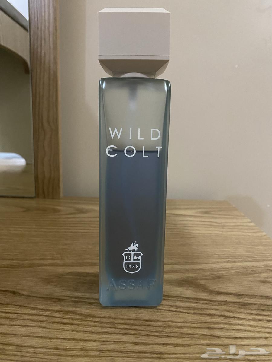 عطر وايلد كولد من عساف ب 85 ريال او للبدل64383455435009110