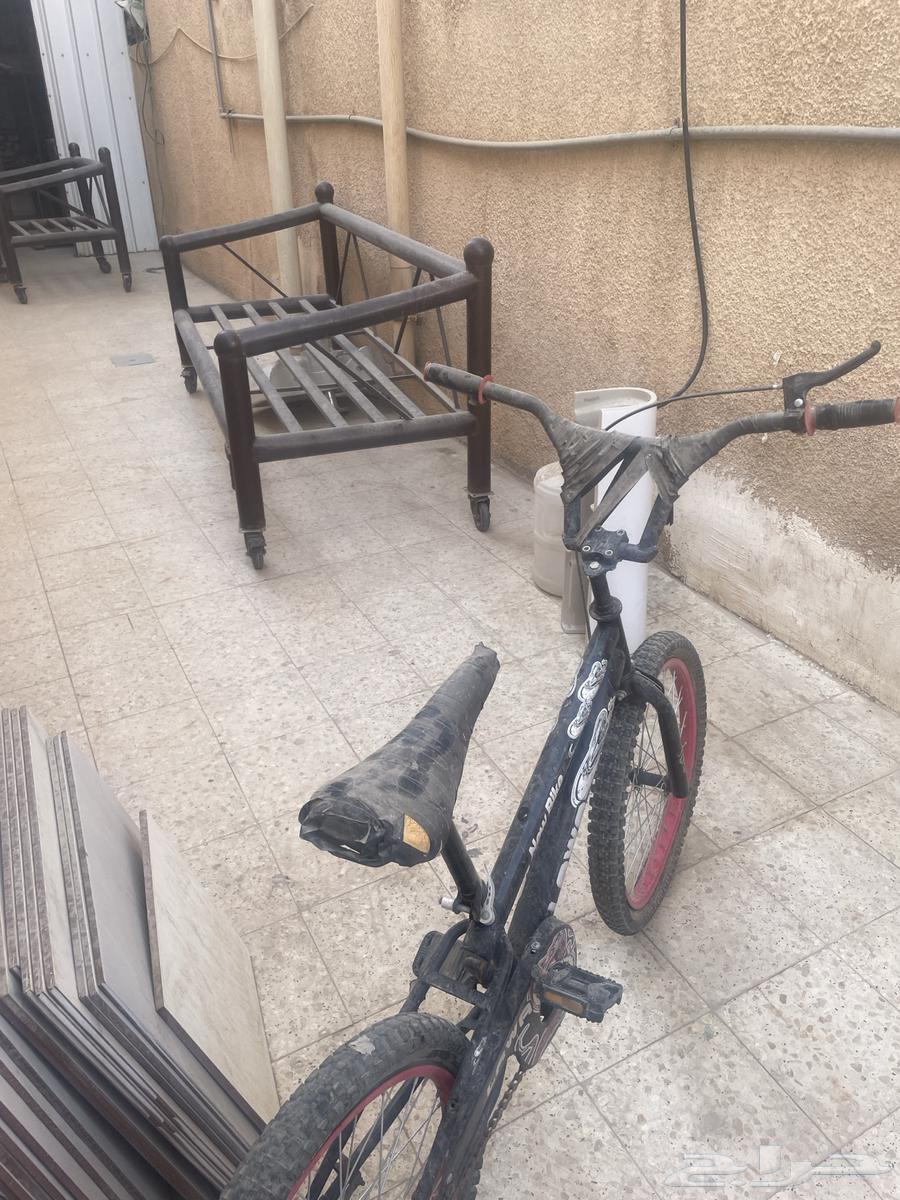 Cobra bicycle size twenty64385453103490113