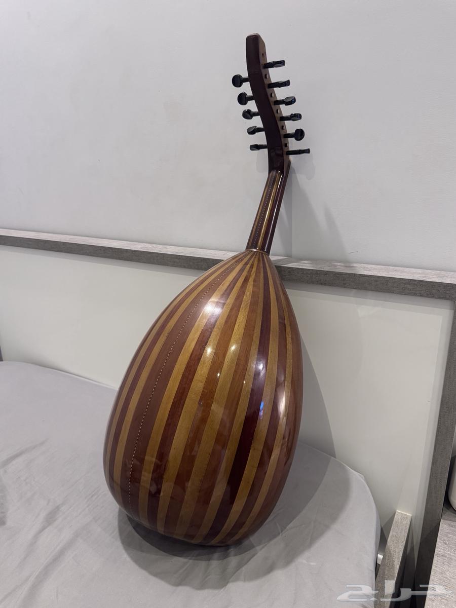 Egyptian 6-string oud64380874858115111
