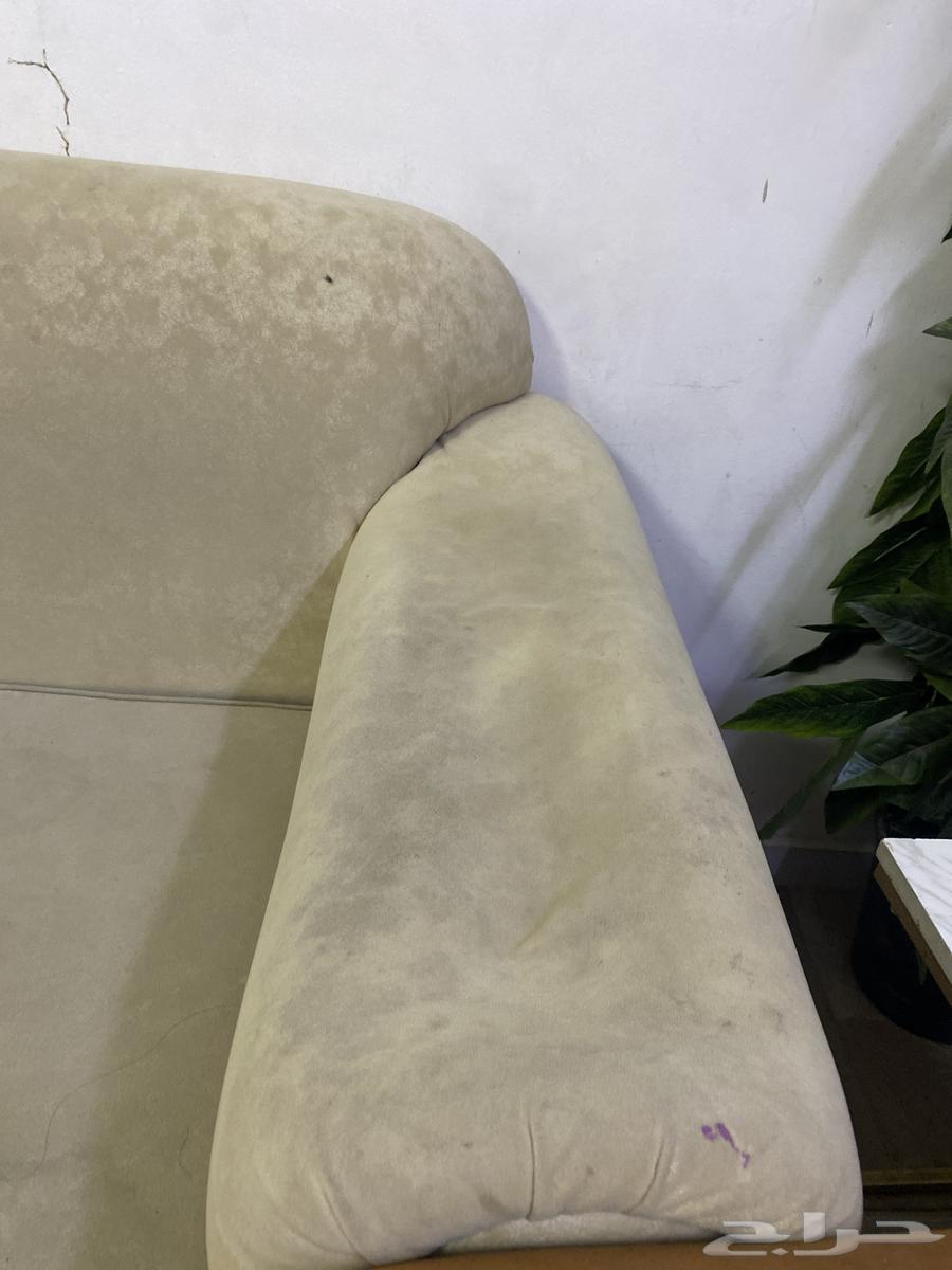 كنب نظيف بنسبه 9064388093387394114