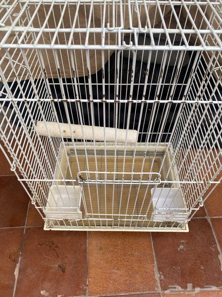 للبيع قفص طيور64386821959171114