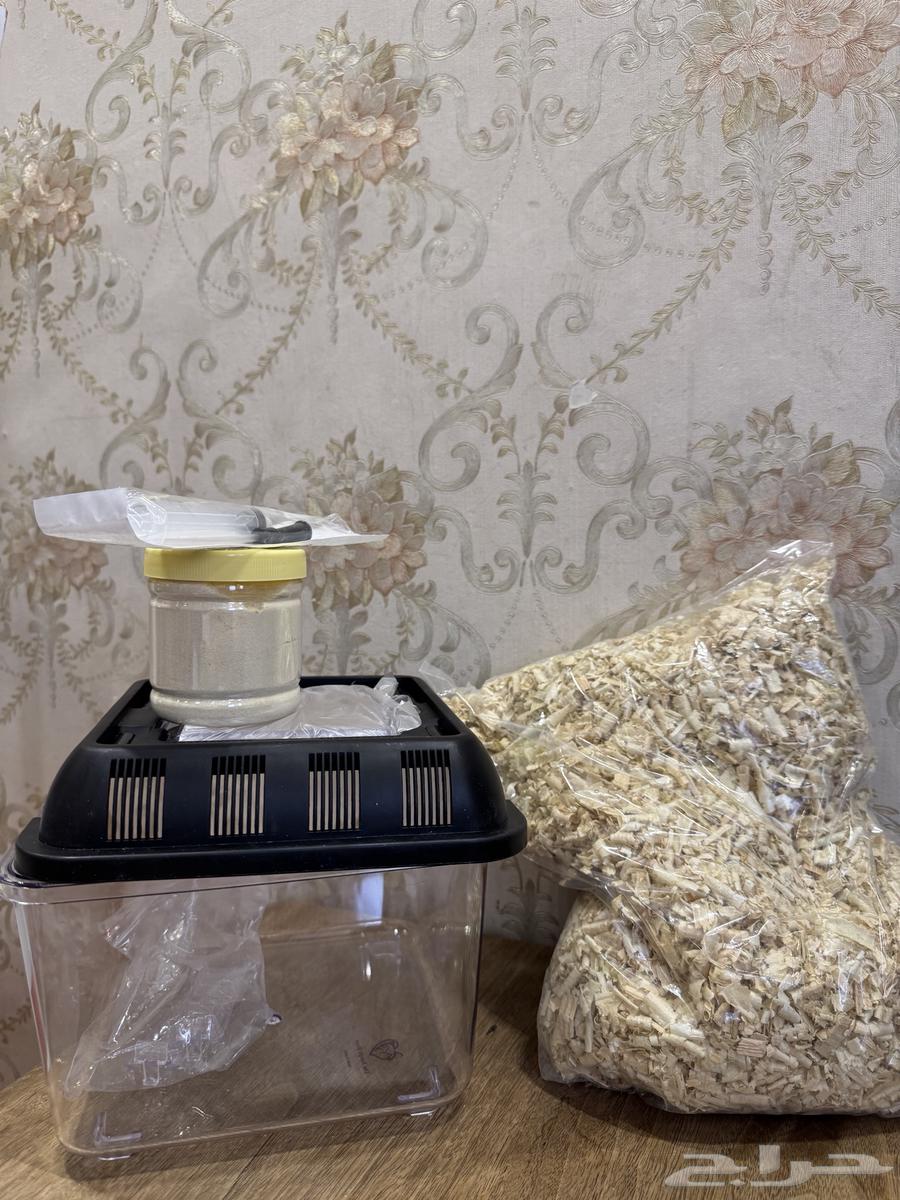 فرخ صن كنيور (((تم البيع)))64382955875331114