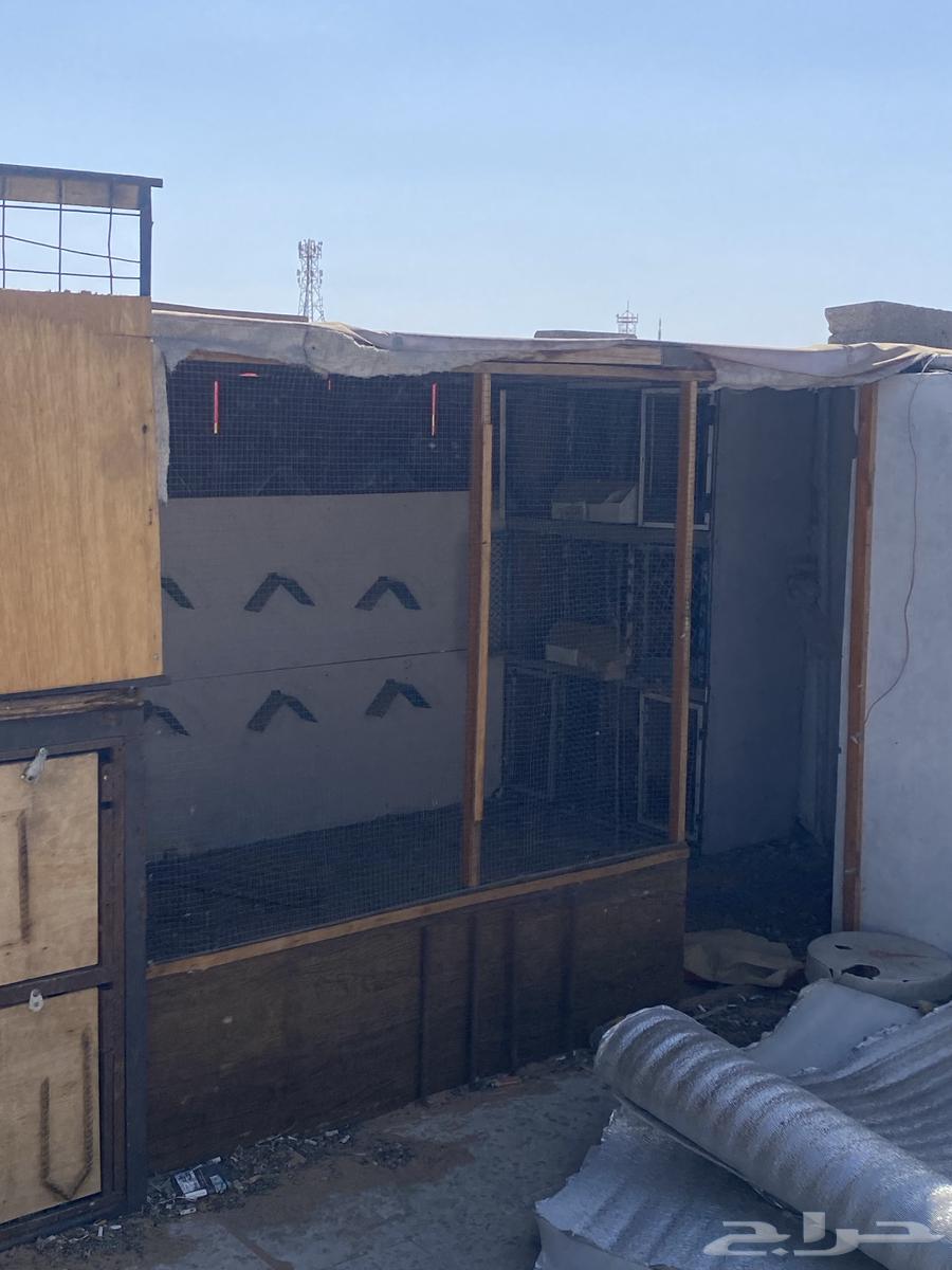 سكراب وحديد للبيع64385508904963111