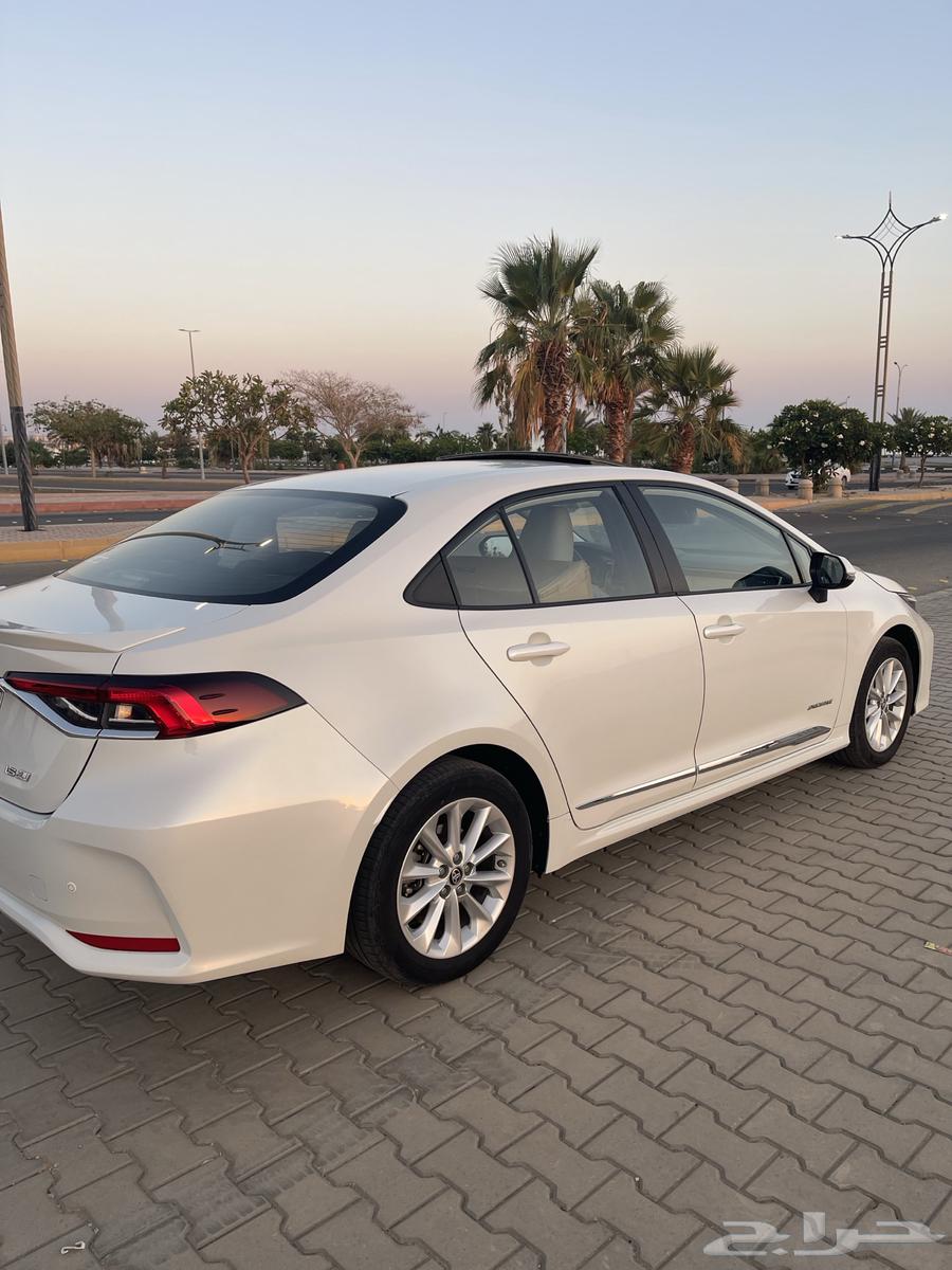 Korla 2020 Full Option Opening64509828054657112