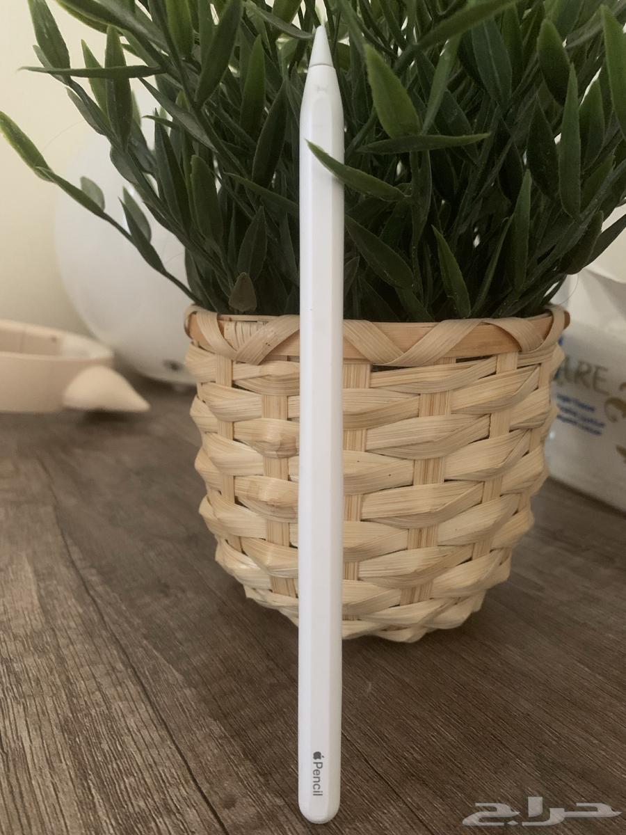 قلم ايباد64385272401282112