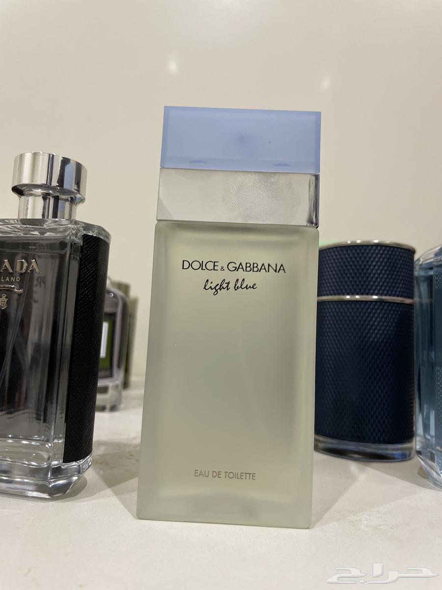 عطر لايت بلو دولتشي اند غابانا النسائي64384842130049110