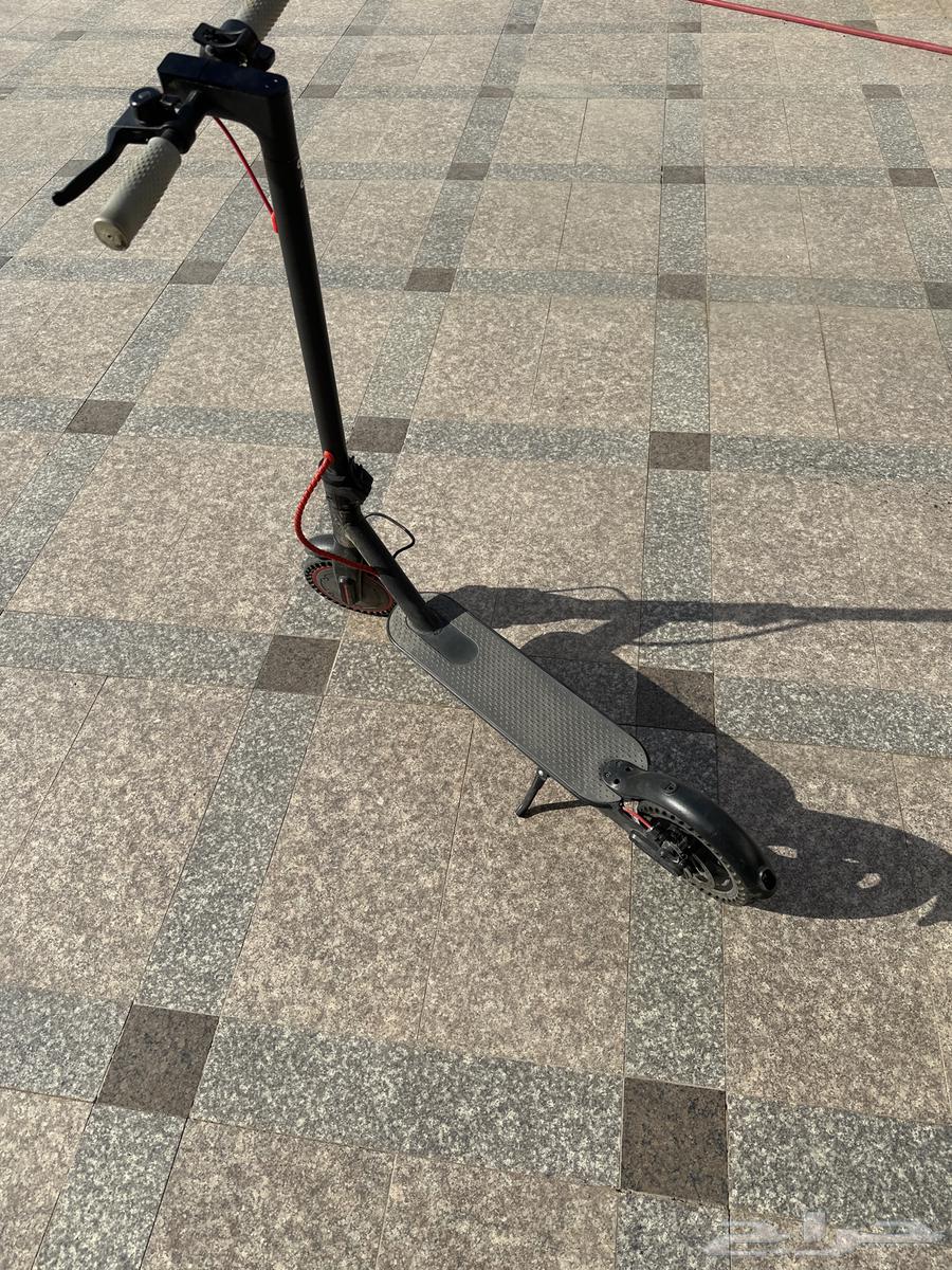 Scooter64385494983298110