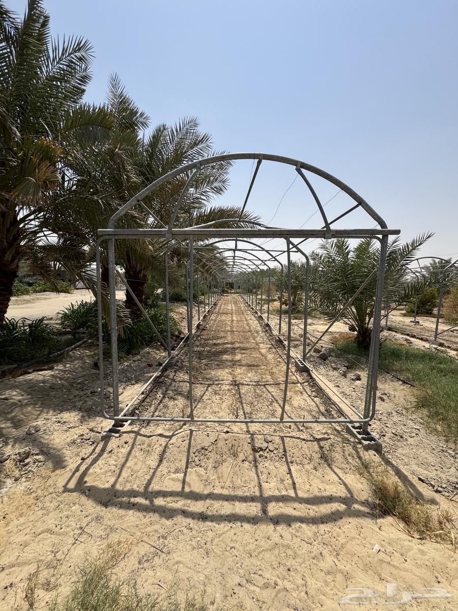 للبيع بيوت محمية جودة64382873559042110