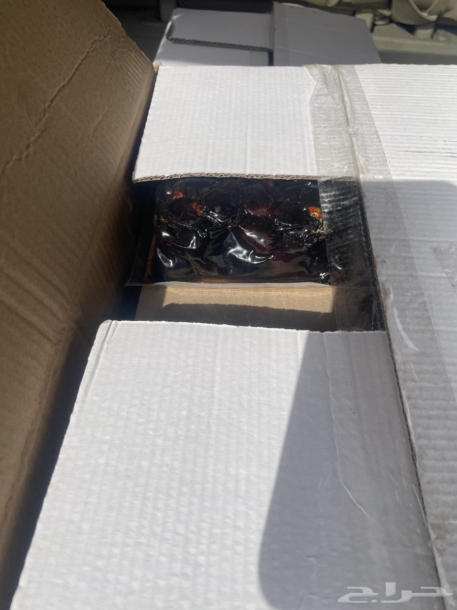 Date Boxes No. 764383994967043112