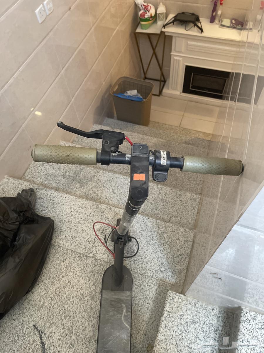 S1 scooter64382914083586114