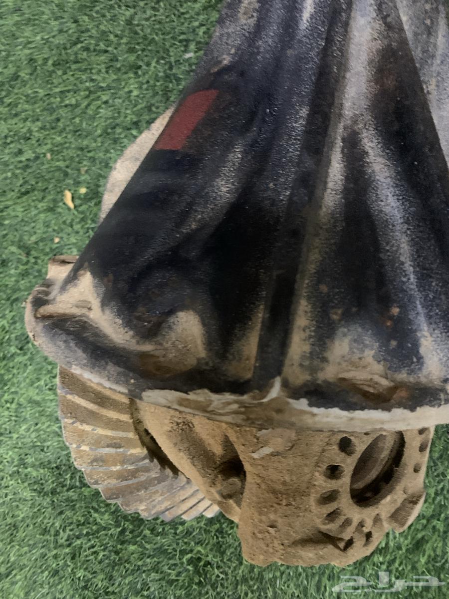 كورونا تركب على فكسأر ولكزز64527849039618111