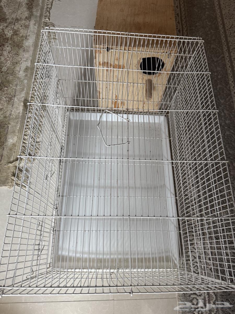 Kasco parrot cage and large parrot cage with white nesting box in good condition64382955819266112