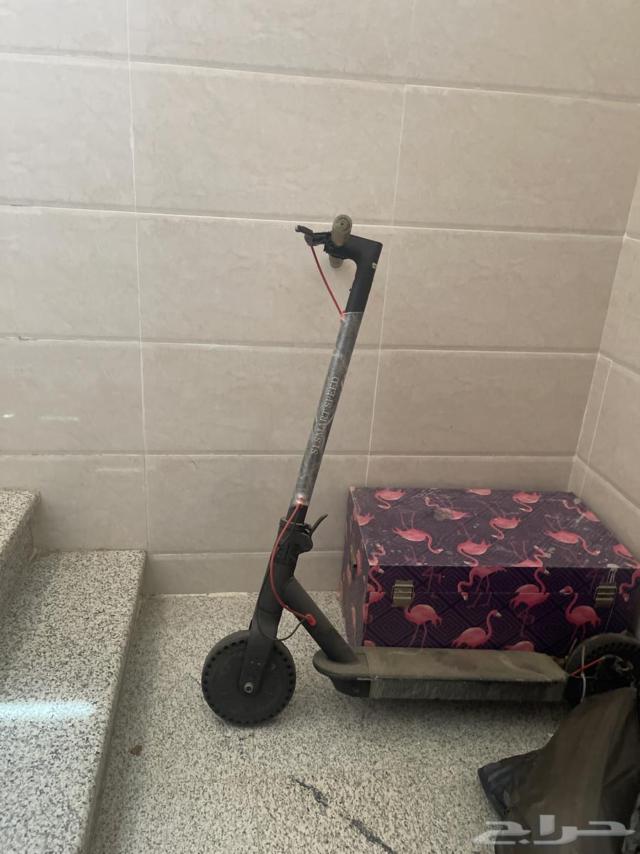 S1 scooter64382914083586110