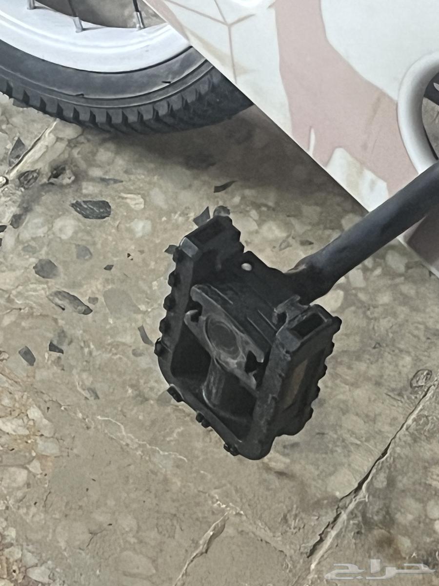 سيكل كلاسيك ب100  فقط64379152549378113