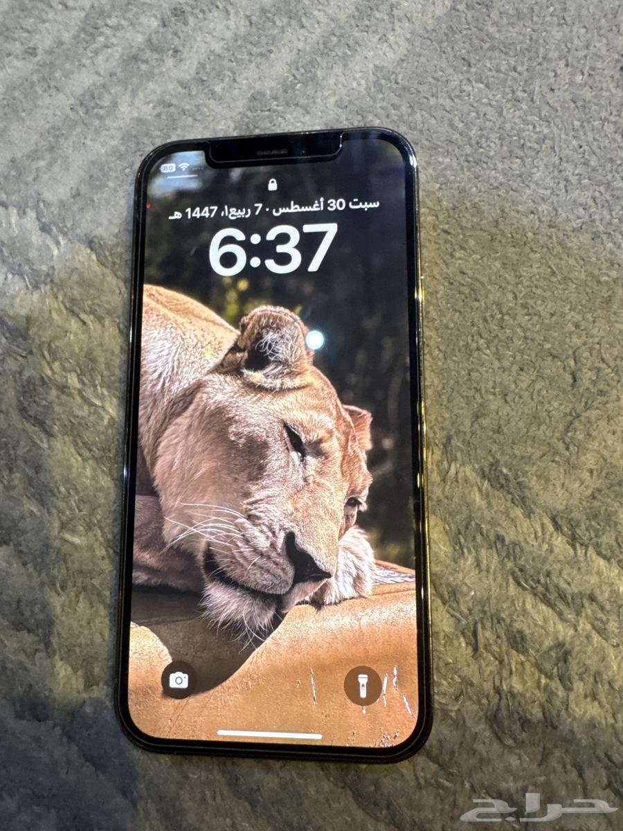 ايفون 12 برو 256 ذهبي نضيف ما فك64387967823363110