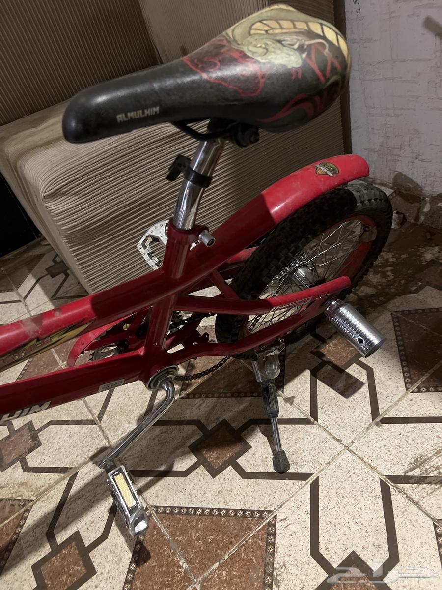 سيكل جديد نظيف بس الجنزيل نازل فقط لاغيز64389433134209112