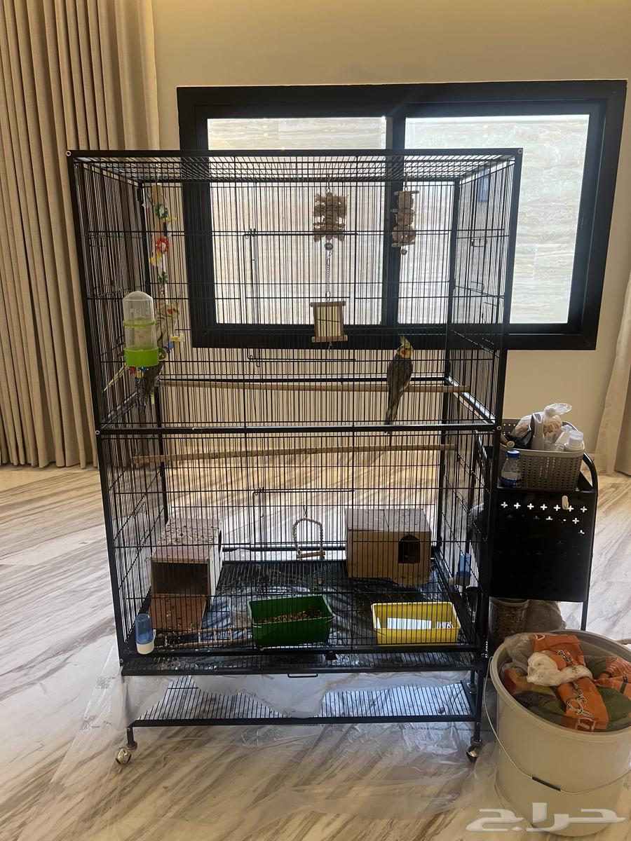 3 طيور كروان مع قفص وملحقات64381246347139110