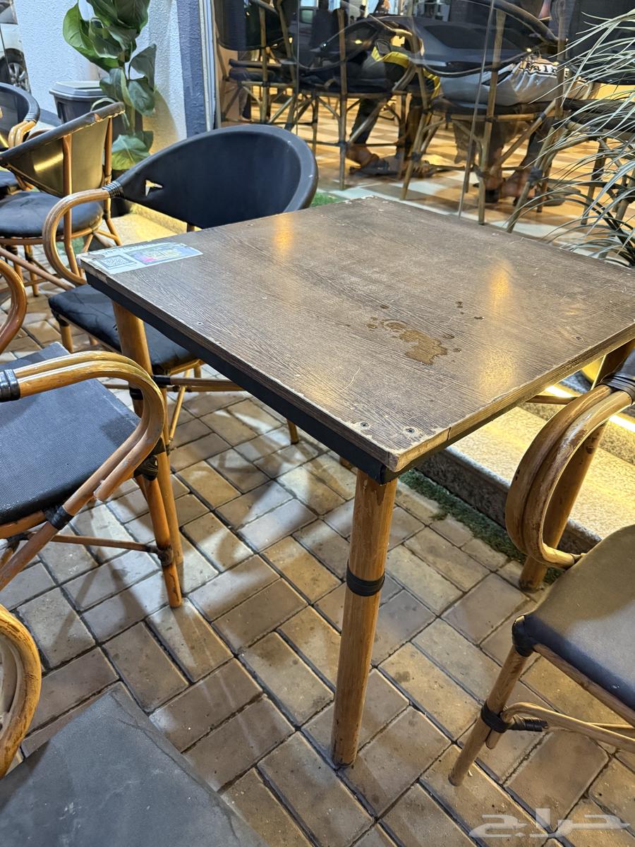 يوجد 10 طولات للبيع سعر الحبه 50ريال64386501329539110