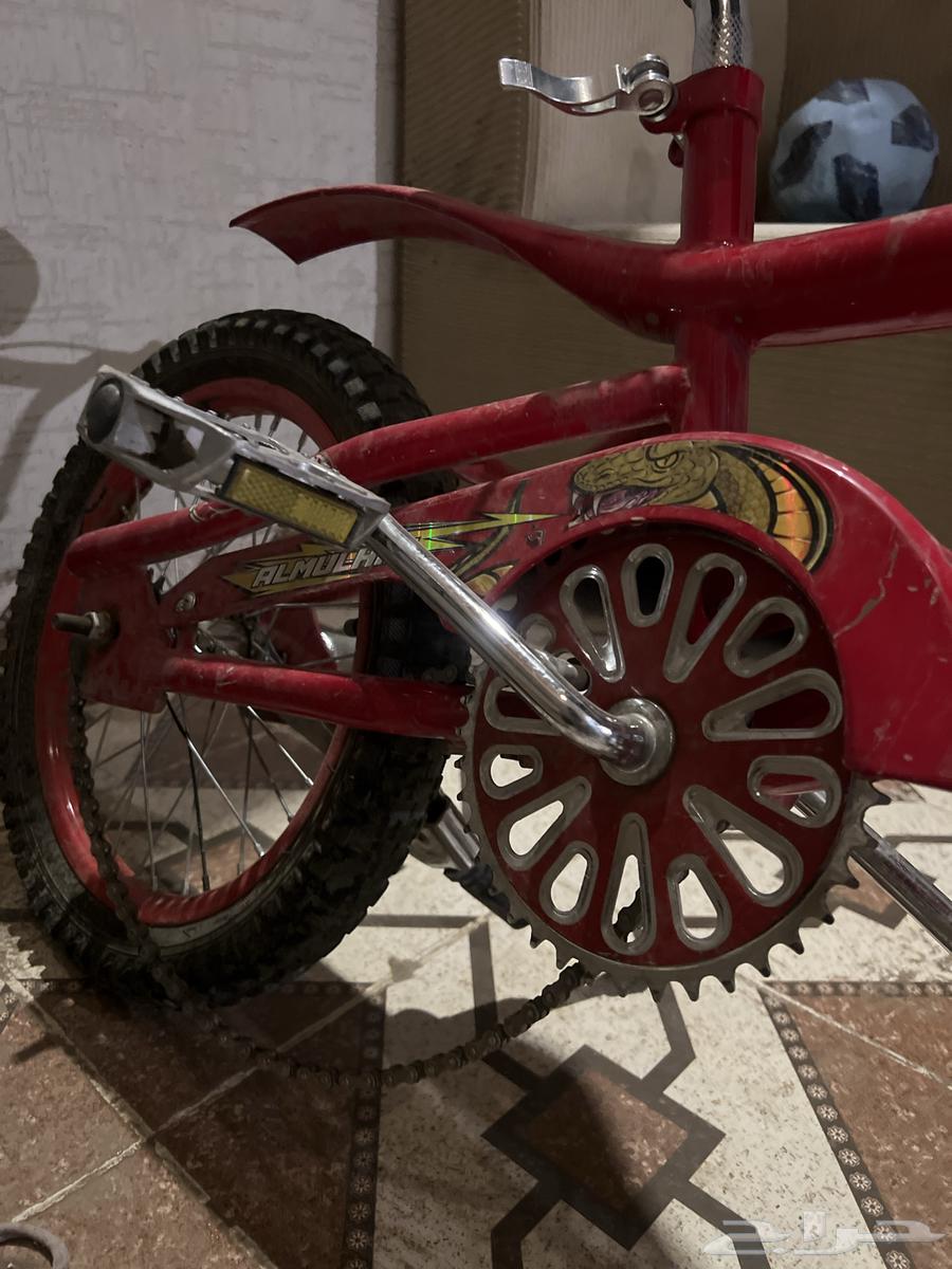 سيكل جديد نظيف بس الجنزيل نازل فقط لاغيز64389433134209113