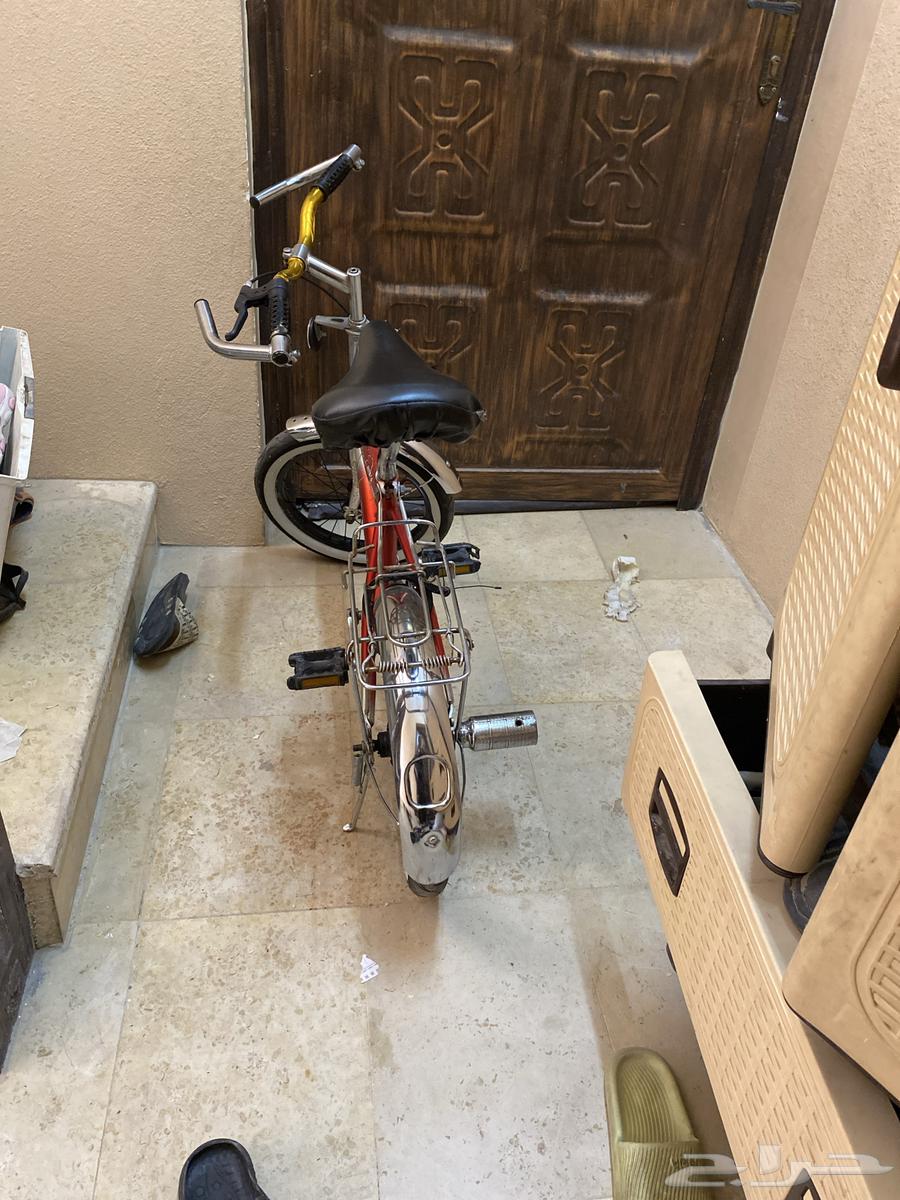 سيكل سوبر سفاري بدون بريك بريك يد كلشي جديد السعر 45064526940585347110