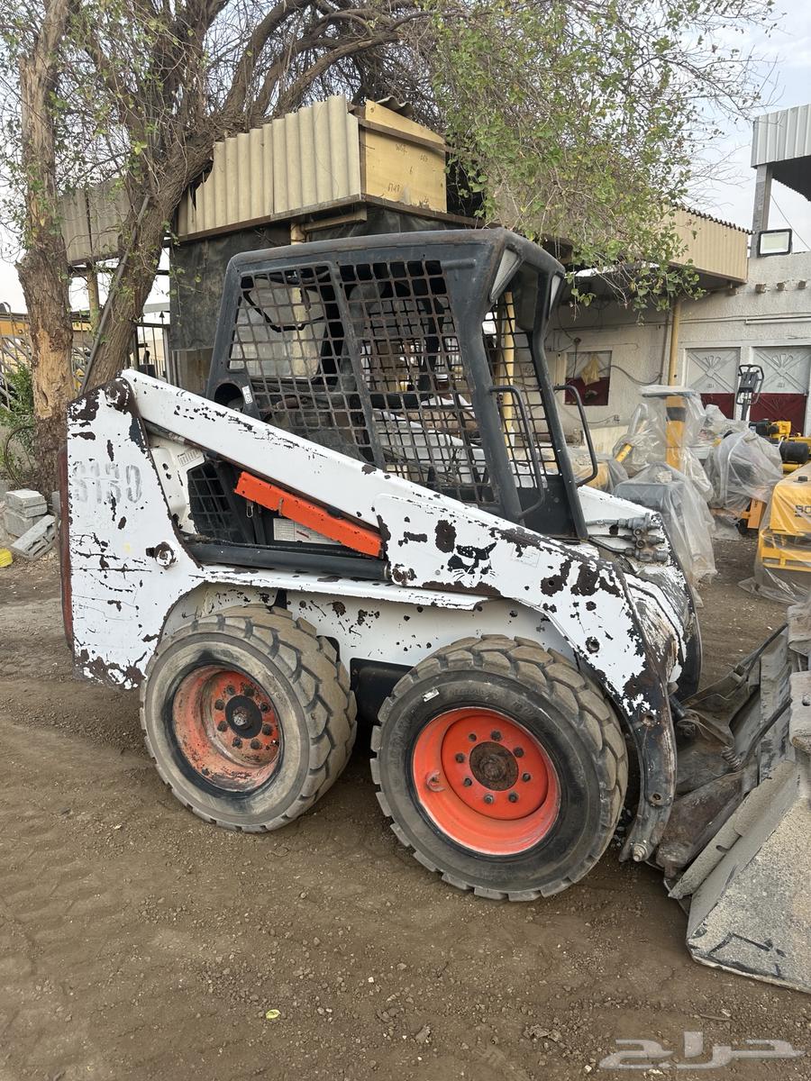 بوبكات ببكات حواس للبيع64533874197634114