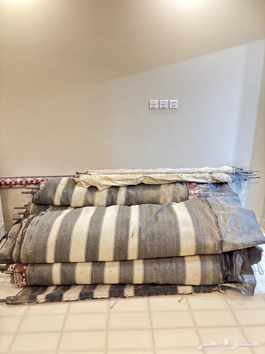 بيت شعر عمودين 9x664384619292545111