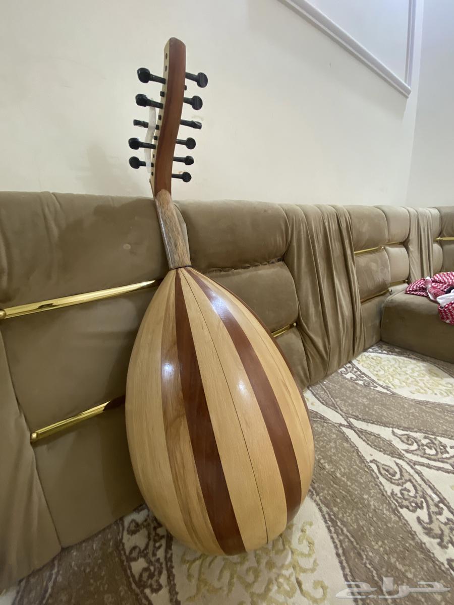 عود مصري جديد مالي يومين شاريه سبب البيع م عرفت له64382031831425111